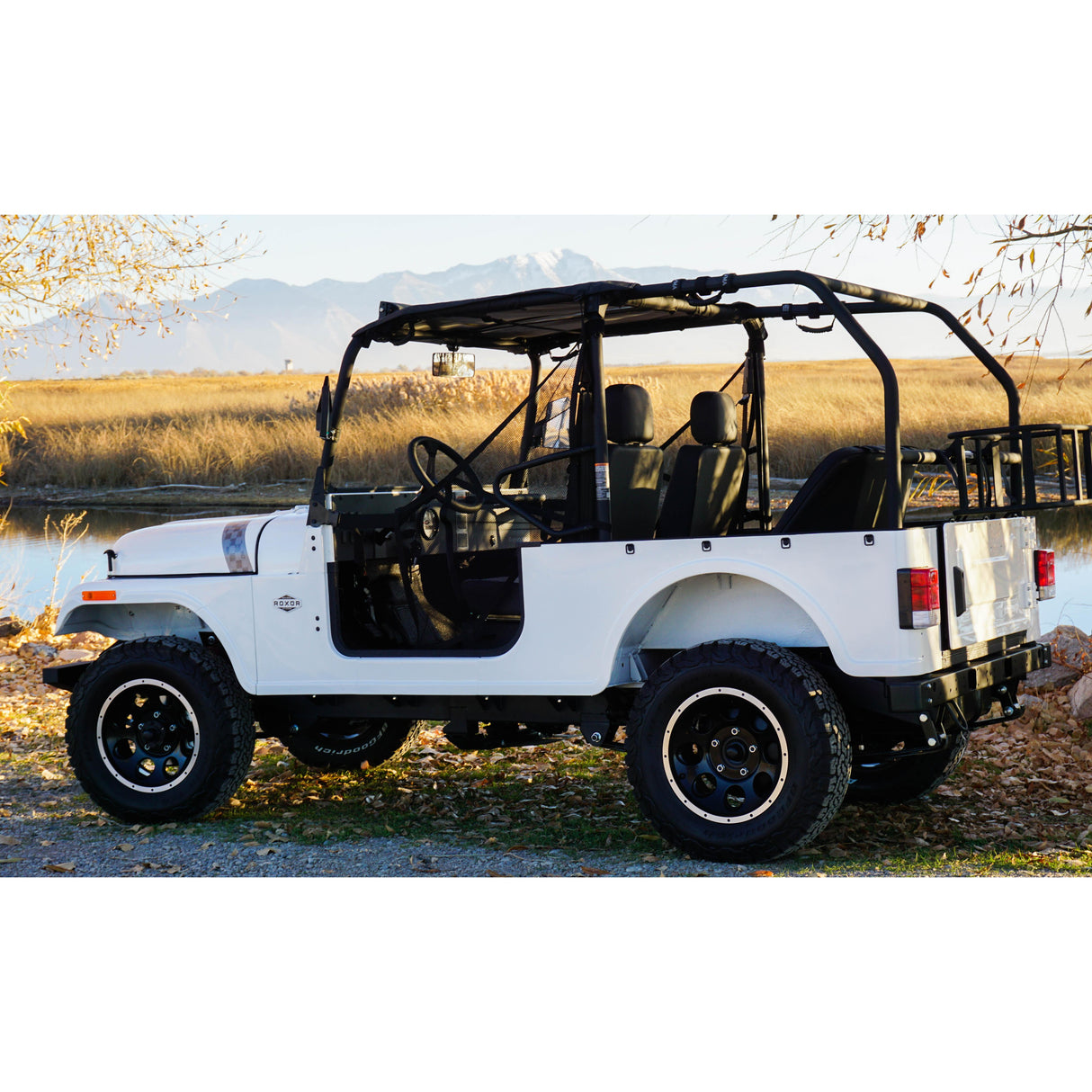 2018-2025 ROXOR Roll Cage and Backseat kit