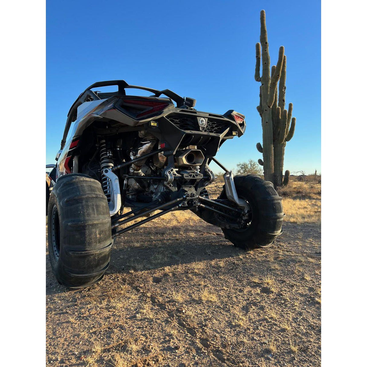 Shock Therapy - 2024+ Can-Am Maverick R Radius Rod Kit - Billet Aluminum