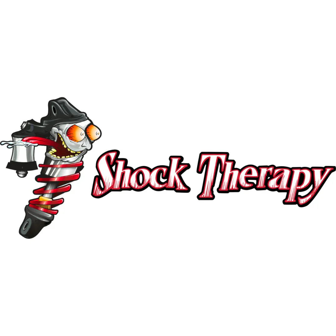 SHOCK THERAPY